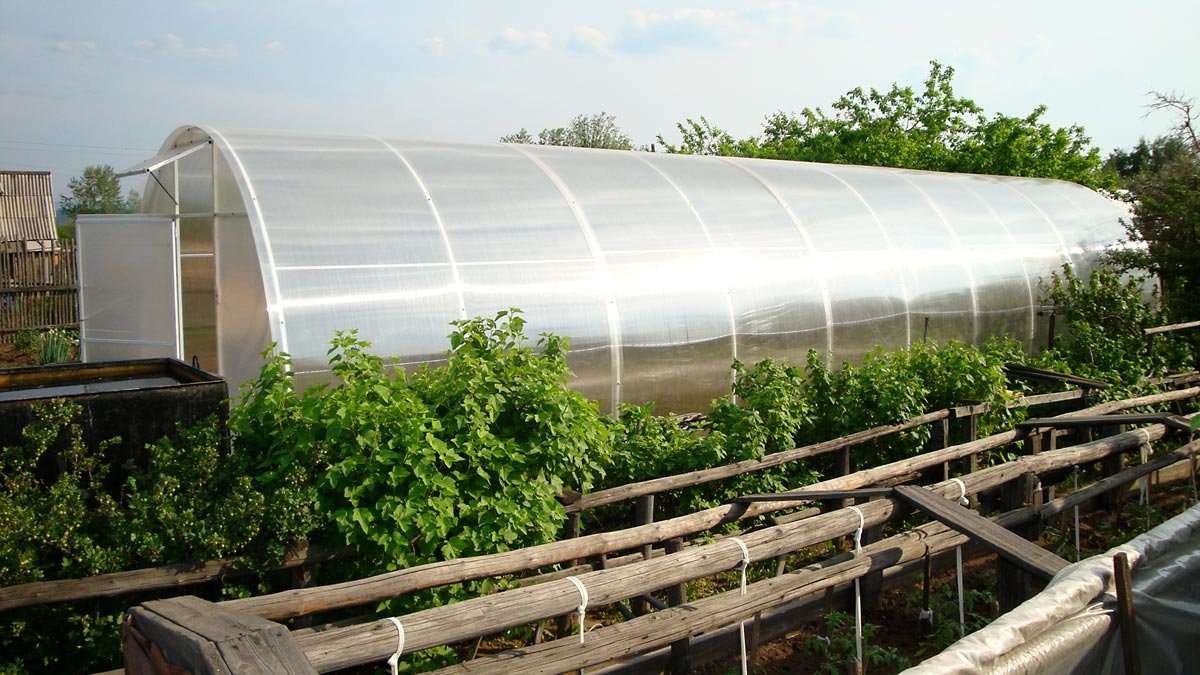 Купить Теплицу В Улан Удэ